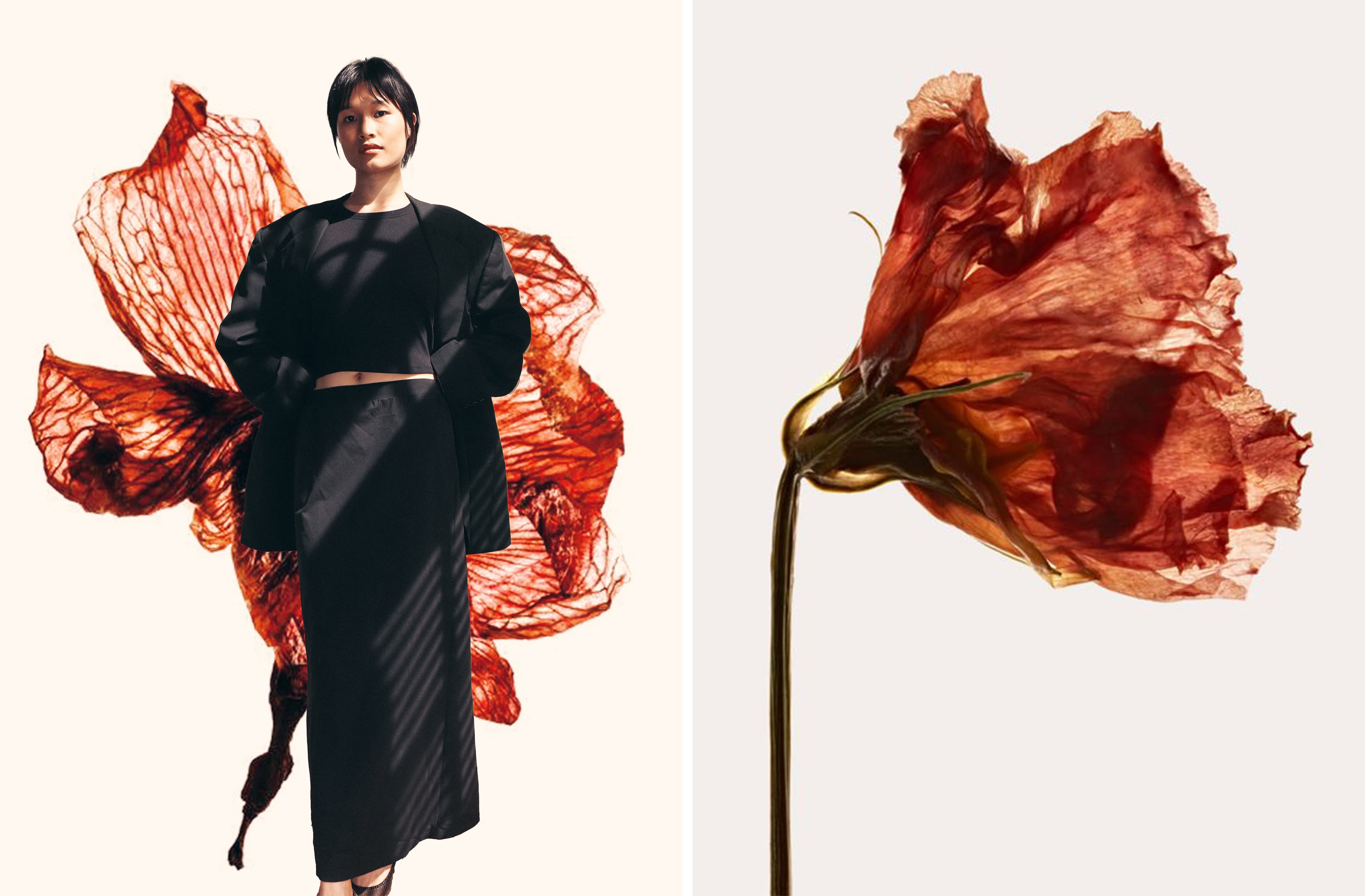Blossom 4