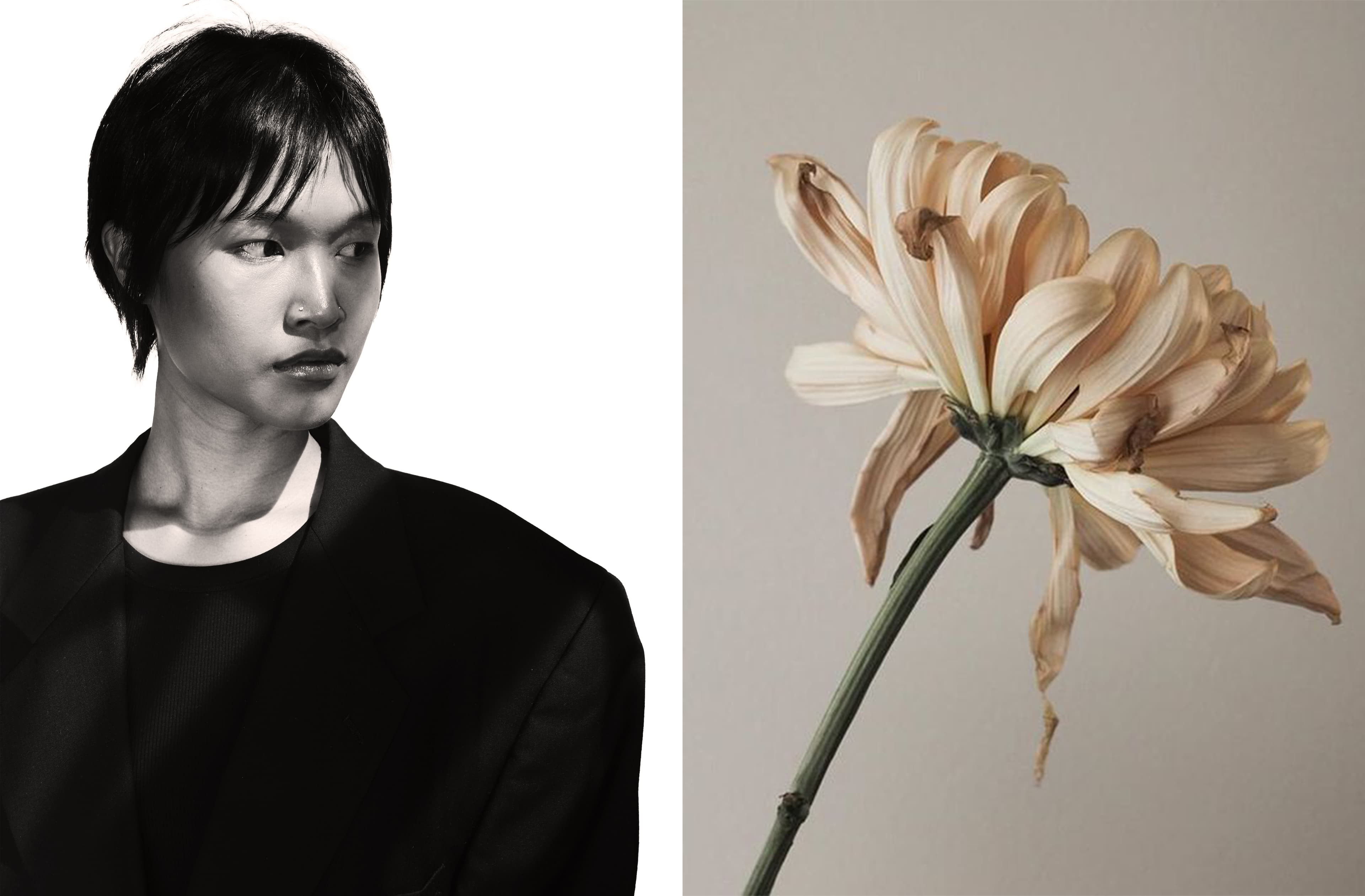 Blossom 5